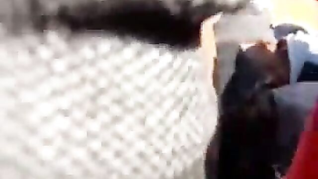 Doggy Style Sex In Public, In South Africa - 1 image