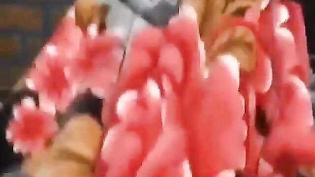 Boobs out: Cheating Indian wife caught NAKED in bed with another man – Part 1