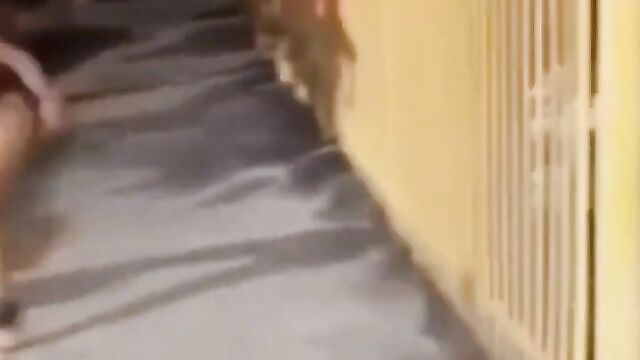 Ass and Boobs pop out in public as 2 ladies fight on the street over a rich man - 3 image