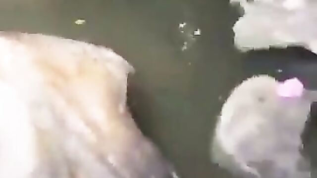 African women with naked ass and boobs exposed in a village stream - 4 image