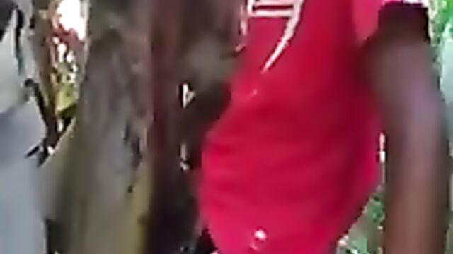 Mad guy fucking a banana tree - 2 image