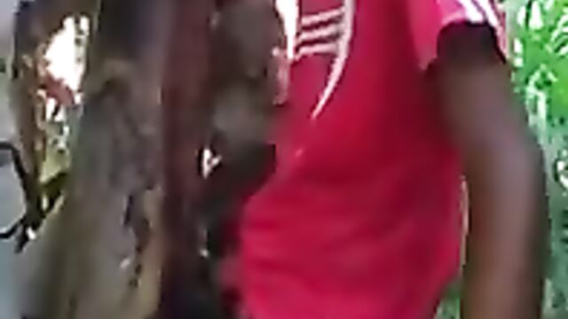 Mad guy fucking a banana tree - 3 image