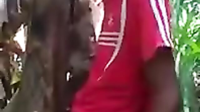 Mad guy fucking a banana tree - 5 image