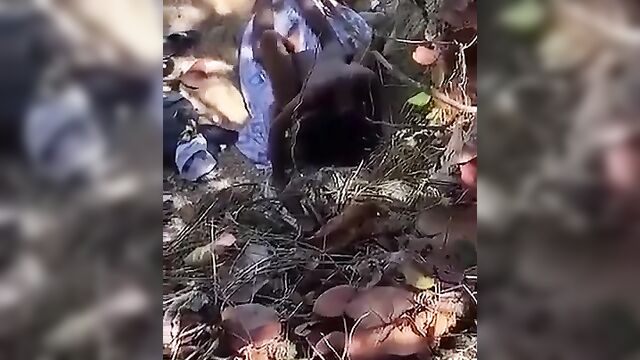 Horny couple caught having sex beside a river - 2 image