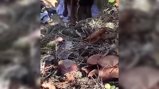 Horny couple caught having sex beside a river - 5 image