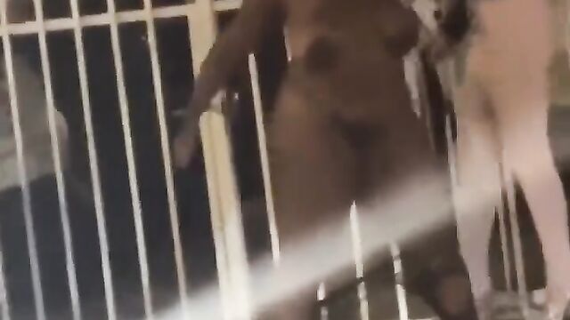 Naked girl with big tits fighting in public – Part 1 - 5 image